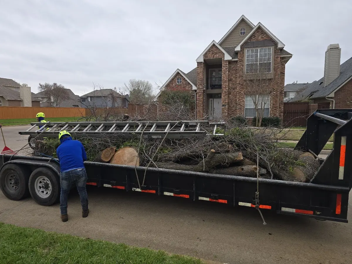 Expert Lot Clearing with proper safety equipment in Waves
